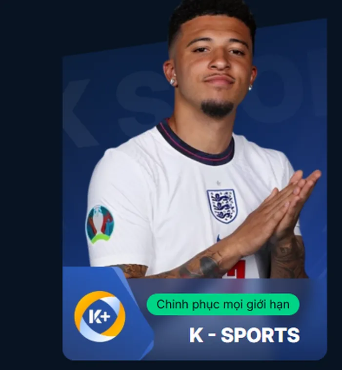 Khảo Sát Chỉ Số Sinh Lời Sảnh Thể Thao K Sports RikBet Cho Các Nhà Đầu Tư